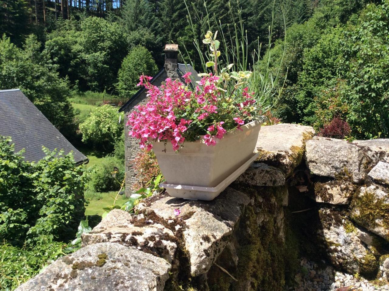 메이막 Le Moulin Des Farges B&B 외부 사진