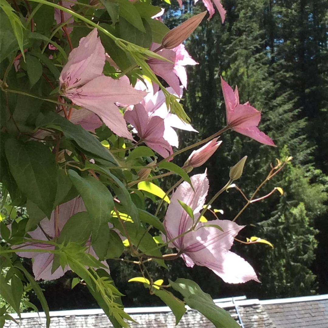메이막 Le Moulin Des Farges B&B 외부 사진